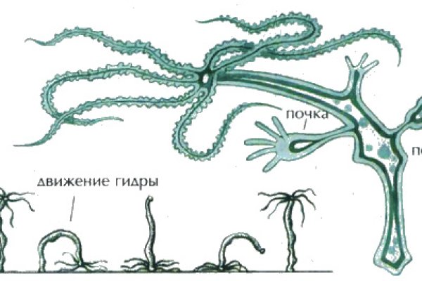 Сайт кракен через тор