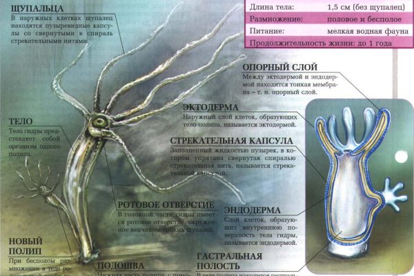 Открыть даркнет