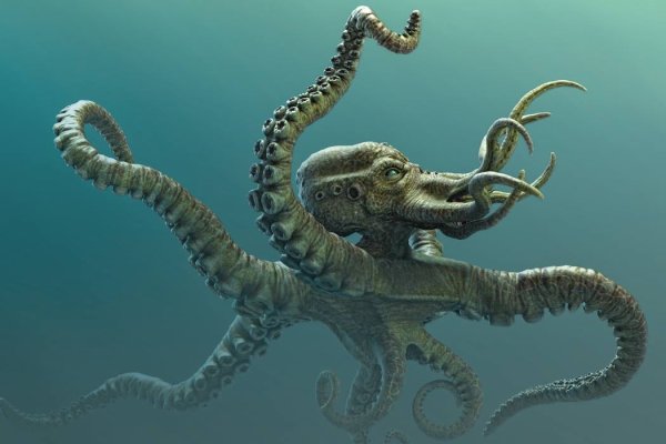 Актуальная ссылка на кракен kraken