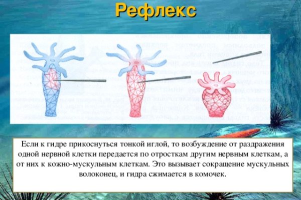 Настоящий сайт kraken