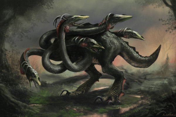 Kraken 20at net